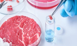 Лабораторный анализ пищевых продуктов по СанПиН в Советской Гавани в октябре