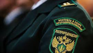Подготовка к проверке Росприроднадзора в Советской Гавани от ПромМир-Свс, стоимость услуги от 20778 руб.
